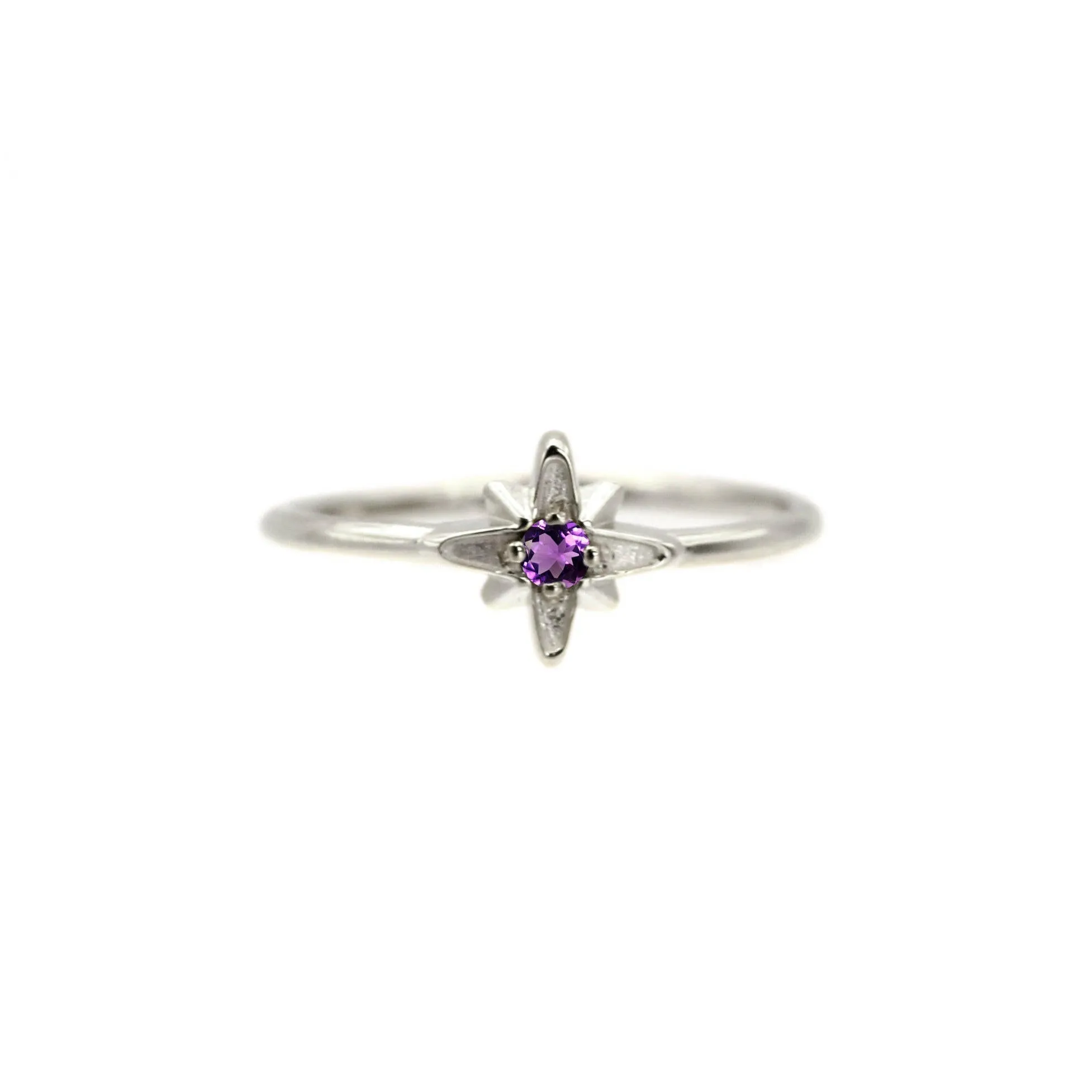 14k North Star February Birthstone Ring by VicStoneNYC Fine Jewelry