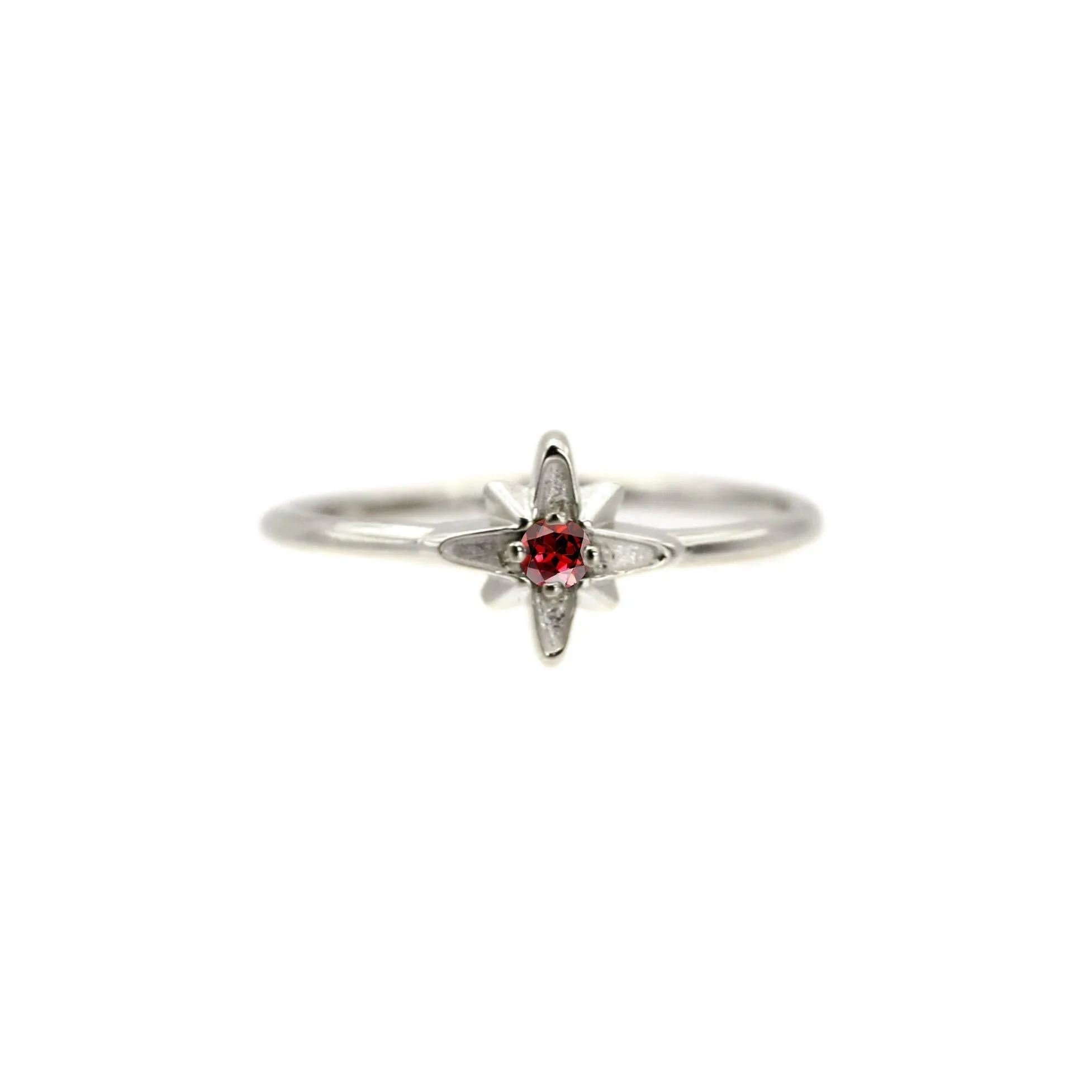 14k North Star February Birthstone Ring by VicStoneNYC Fine Jewelry