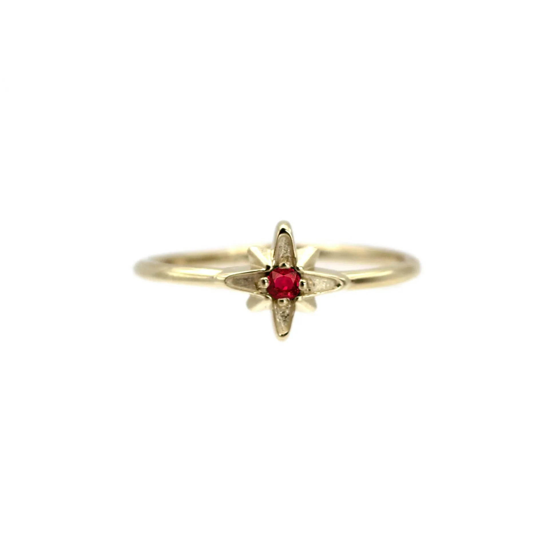 14k North Star February Birthstone Ring by VicStoneNYC Fine Jewelry