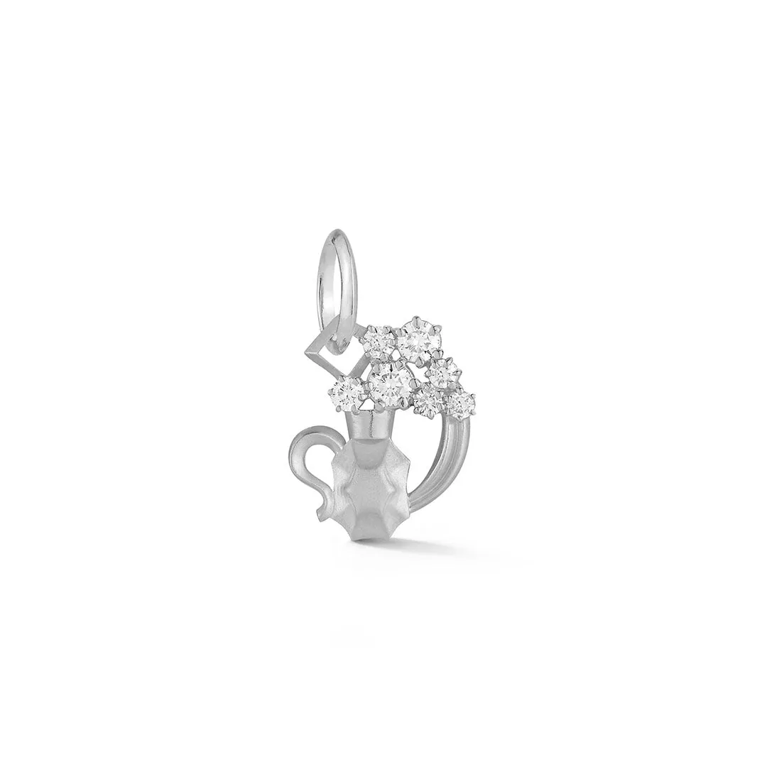 Aquarius Charm