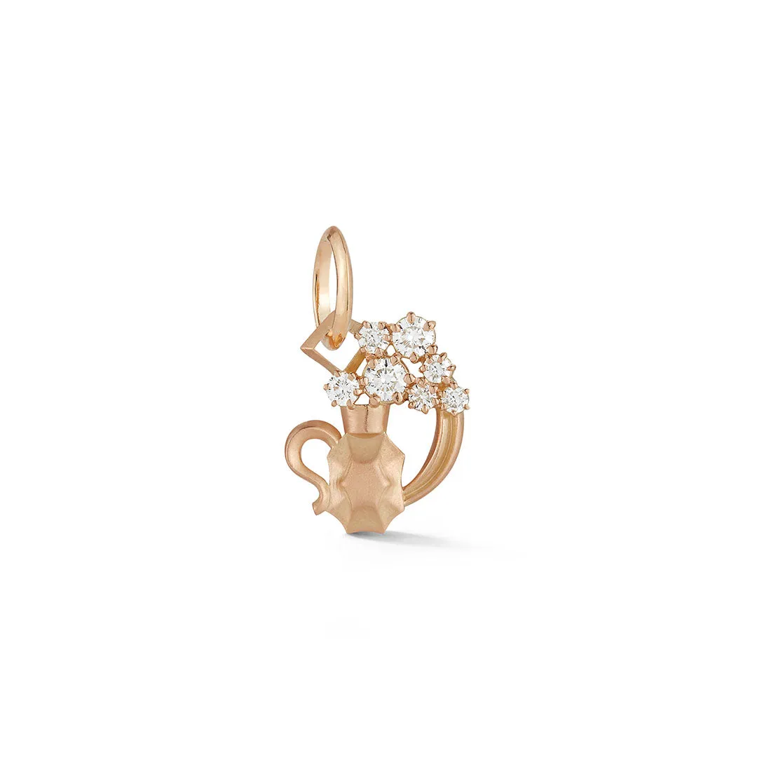 Aquarius Charm