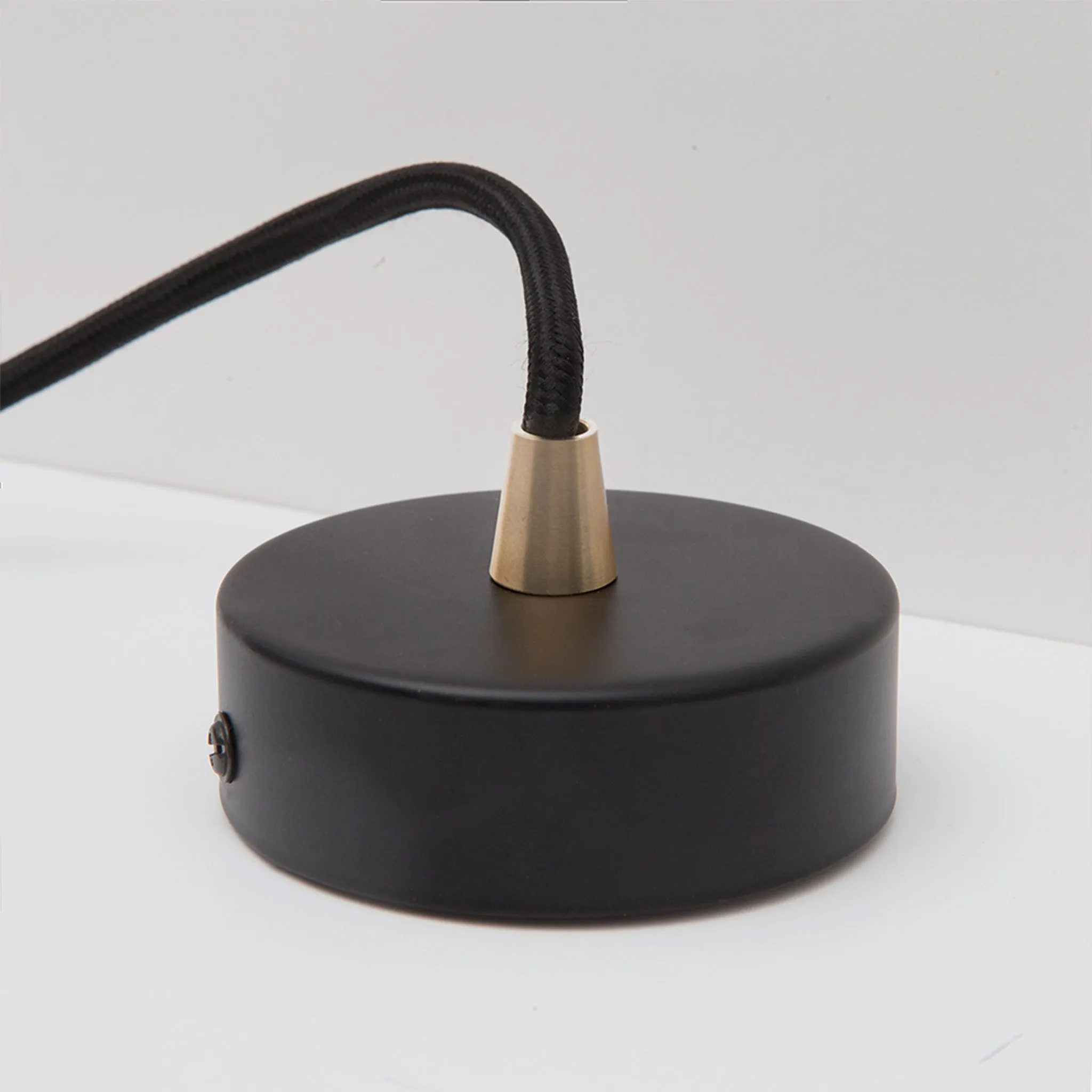 Elva Pendant Light Non-Tinted in Brass