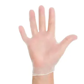 Powder Free Vinyl Gloves Large