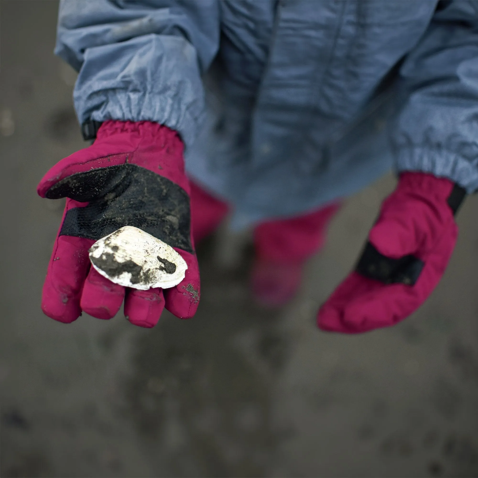 Toasty-Dry Waterproof Snow Glove: Wildberry